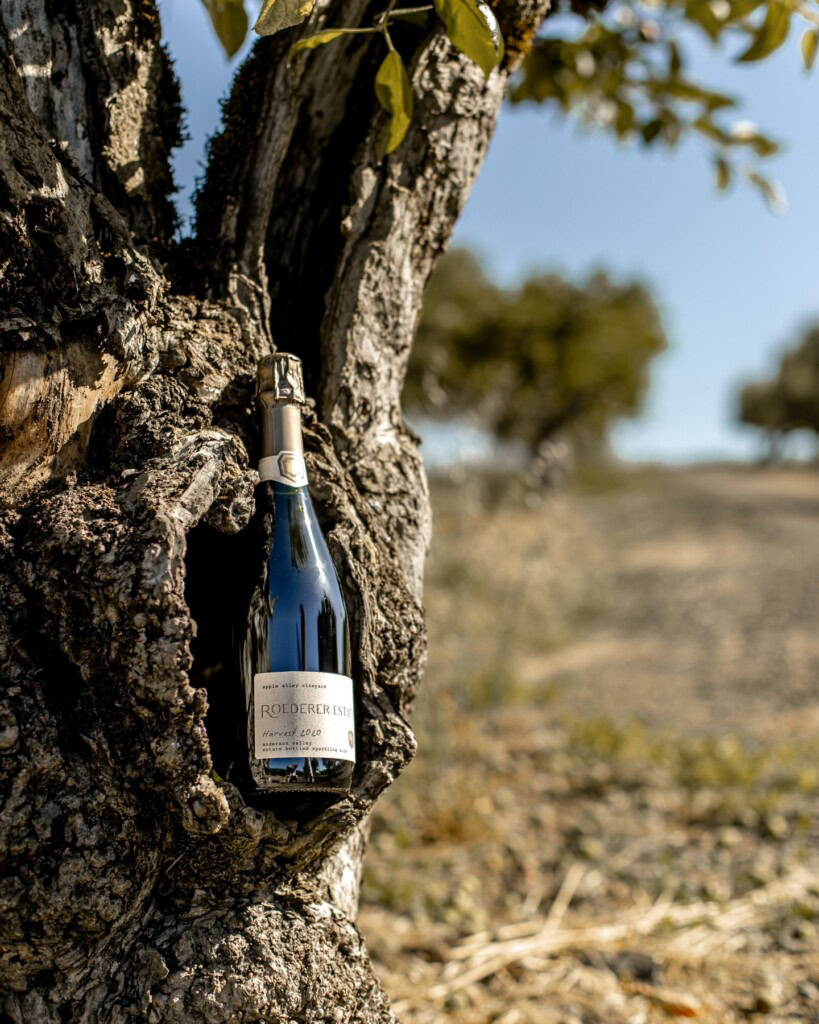 A wine bottle nestled in the trunk of a gnarled, weathered tree. The background features a blurred rural landscape under a clear blue sky, with another tree visible in the distance. The scene conveys a rustic, natural ambiance.