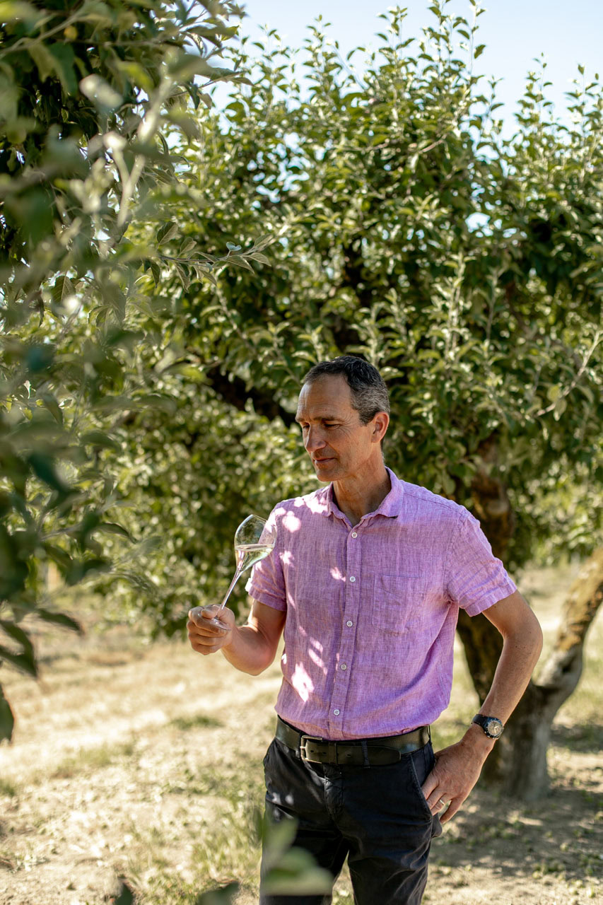 A man in a pink shirt stands outdoors in an orchard, examining a clear wine glass. Surrounding him are green trees and grass, bathed in sunlight. He appears contemplative, with his attention focused on the glass.