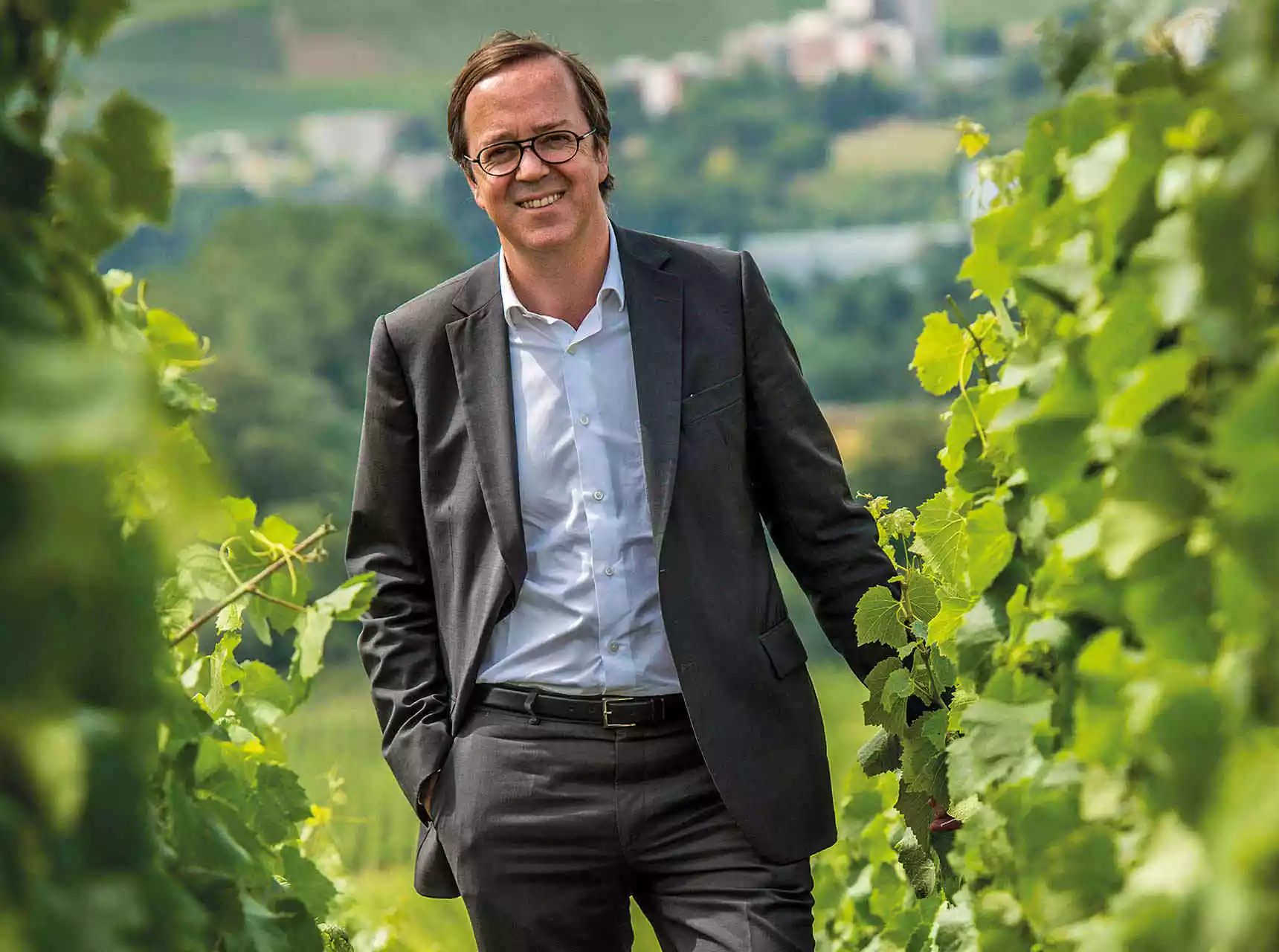 A man in a suit and glasses stands smiling between rows of green vineyard leaves. A blurred landscape with fields and buildings is visible in the background.