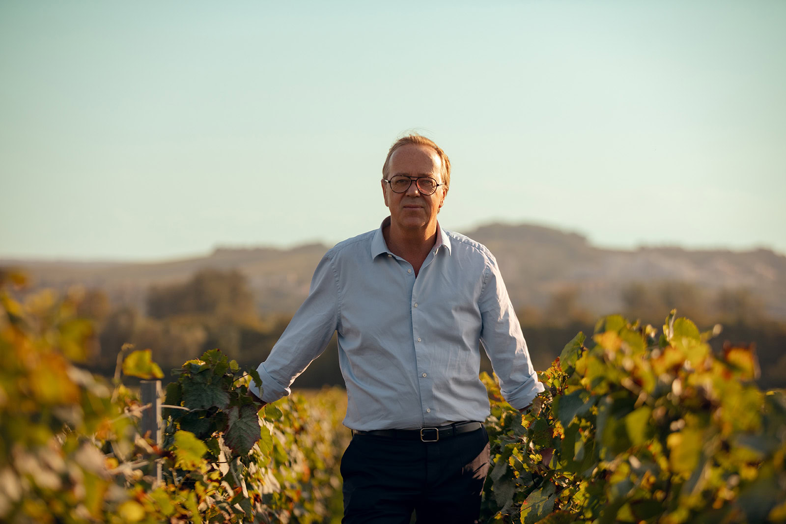 A man in a light blue shirt stands among green vineyard rows, facing the camera. The background features rolling hills under a clear blue sky.