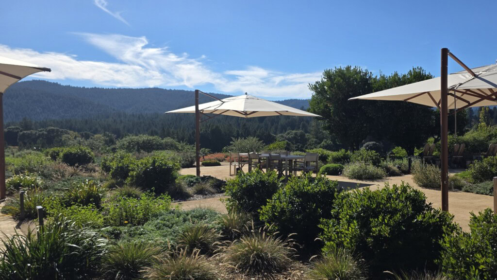 Enjoying the view on Roederer Estate's terrace.